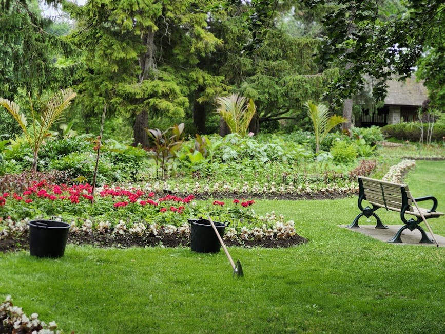 A well-maintained garden scene featuring a lush, green lawn bordered by flower beds filled with vibrant pink and white blossoms. In the foreground, two black buckets and a rake rest on the grass, indicating ongoing gardening work. Behind the flower beds, there are various leafy shrubs and young palm trees, along with mature trees providing shade and structure to the garden. To the right, a black metal bench with wooden slats is positioned on a small paved area, offering a seating space amidst the greenery. The background includes taller trees and a glimpse of a stone building partly obscured by foliage. The garden appears to be in a peaceful and inviting outdoor setting, suitable for relaxing or gardening activities, reflecting careful lawn care, hedge trimming, and overall garden maintenance as emphasized by Gardeners Holland Park.