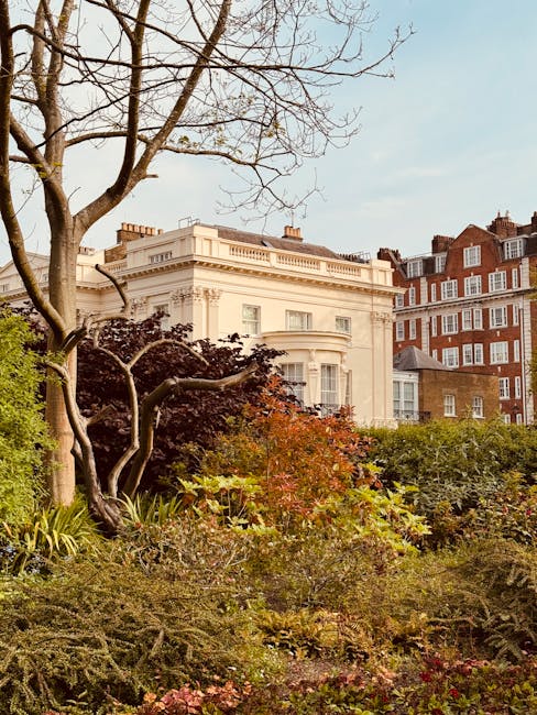 A garden scene in front of a white, classical-style building with ornate architectural details, including columns and decorative moldings, set against a backdrop of a red brick residential building with multiple chimneys. The garden features a variety of plants, shrubs, and small trees, with some foliage showing autumn colors in red and orange. A large, leafless tree with twisting branches occupies the left side of the image, while the ground is covered with a mix of green and brown plants, and a grassy lawn area is visible. The scene is illuminated by soft, natural daylight, highlighting the textures of the soil, leaves, and the elegant facade of the building. The overall impression is one of well-maintained outdoor space in an urban setting, with Gardeners Holland Park providing expert garden maintenance and landscaping work around this area.
